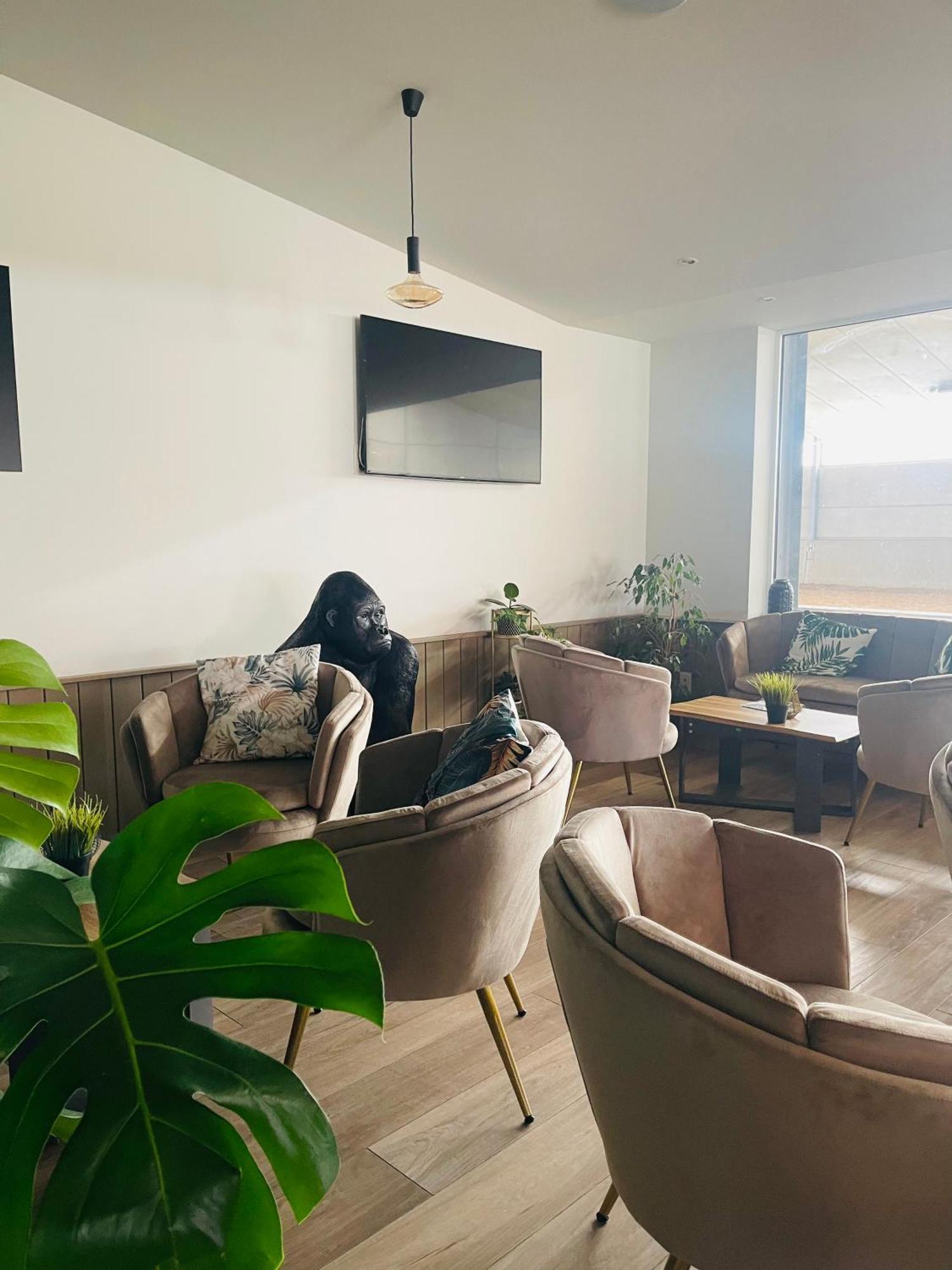 Bed and breakfast Equus Bredene